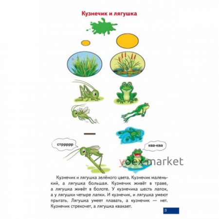 Логопедические карточки 