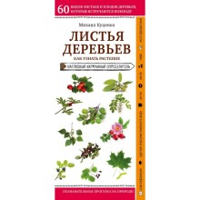 Листья деревьев. Как узнать растение. Куценко М.