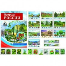 Набор карточек. Природа России