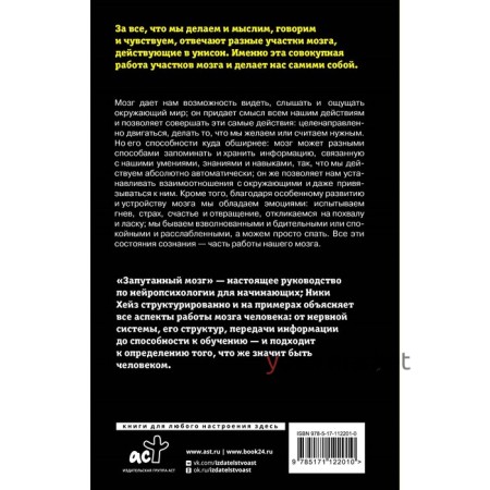 Запутанный мозг. Путеводитель по нейропсихологии. Хейз Н.