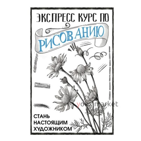 Экспресс курс по рисованию. Стань настоящим художником. Грей Мистер