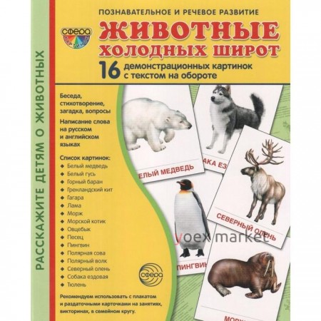 Демонстрационные картинки. Животные холодных широт. 16 демонстрационных картинок с текстом. 174х220 мм