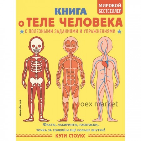 Книга о теле человека с полезными заданиями и упражнениями. Кэти Стоукс