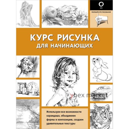 Курс рисунка для начинающих