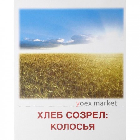 Демонстрационные картинки. Хлеб всему голова. 16 демонстрационных картинок с текстом. 174х220 мм