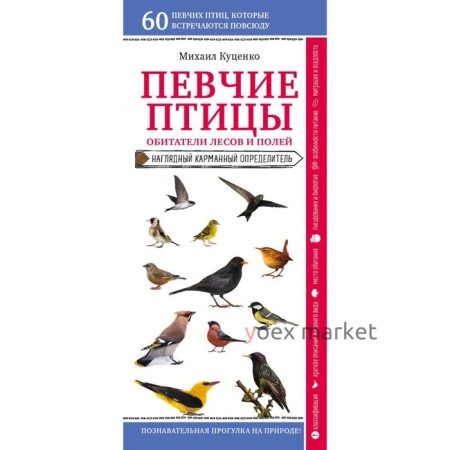 Певчие птицы. Обитатели лесов и полей. Куценко М. Е.