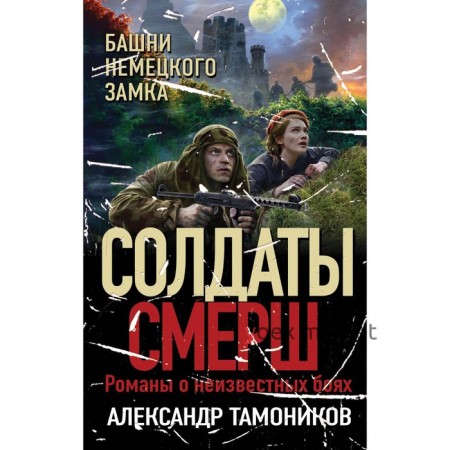 Башни немецкого замка. Тамоников А.А.