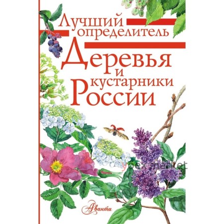 Деревья и кустарники России. Пескова И. М.