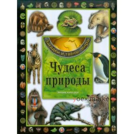 Чудеса природы. Энциклопедия