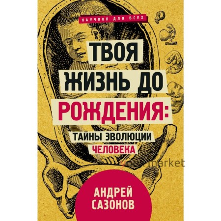 Твоя жизнь до рождения: тайны эволюции человека