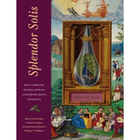 Splendor Solis. Все секреты легендарного алхимического трактата. Годвин Д., Скиннер С., Хидисен Д.