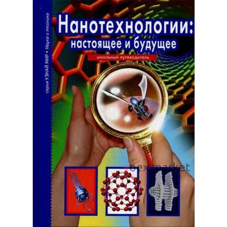 Нанотехнологии: настоящее и будущее: школьный путеводитель. Черненко Г.Т.