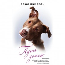 Путь домой (книга в полусупере). Кэмерон Б