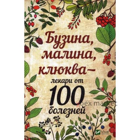 Бузина, малина, клюква - лекари от 100 болезней. Романова М.Ю.