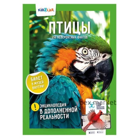 Птицы. 250 невероятных фактов (энциклопедия в дополненной реальности). Шагина И.