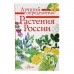 Лучший определитель «Растения России»