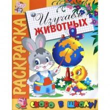 Изучаем животных