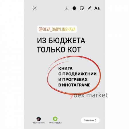 Из бюджета только кот. Книга о продвижении и прогревах в инстаграме. Сабылинская О.