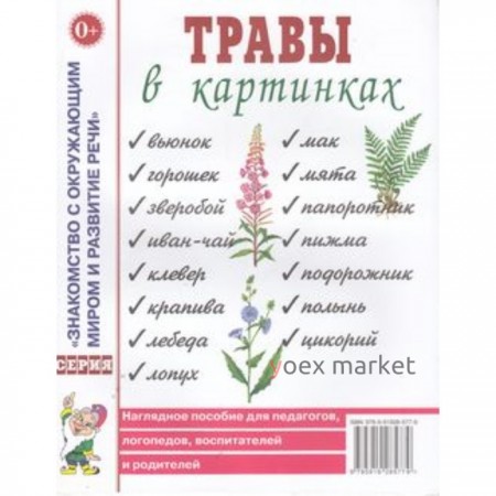 Травы в картинках. Наглядное пособие для педагогов, логопедов, воспитателей и родителей