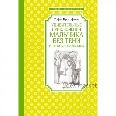 Удивительные приключения мальчика без тени и тени без мальчика. Прокофьева С.