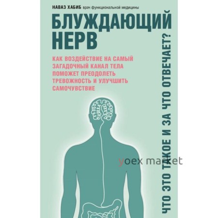 Блуждающий нерв. Что это такое и за что отвечает?. Хабиб Н.