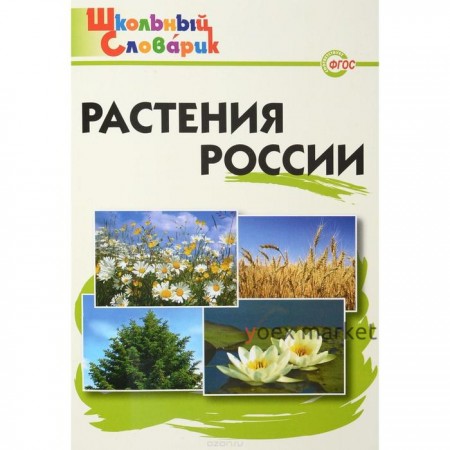 Справочник. Растения России начальная школа, Васильева Н. Ю.