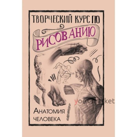 Творческий курс по рисованию. Анатомия человека. Грей М.