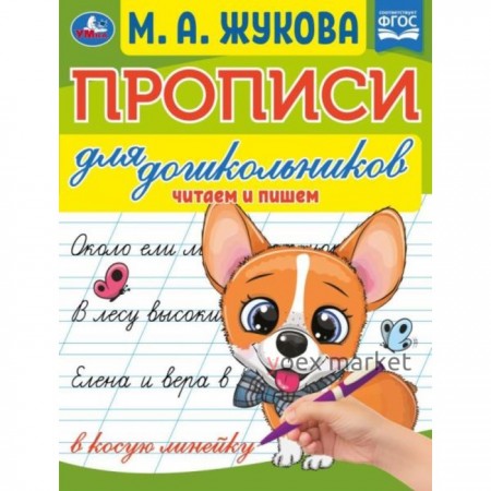 Прописи для дошкольников. Читам и пишем. М. А. Жукова .