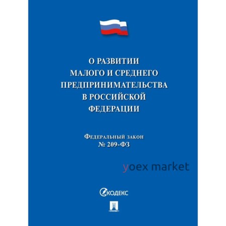 О развитии малого и среднего предпринимательства в РФ