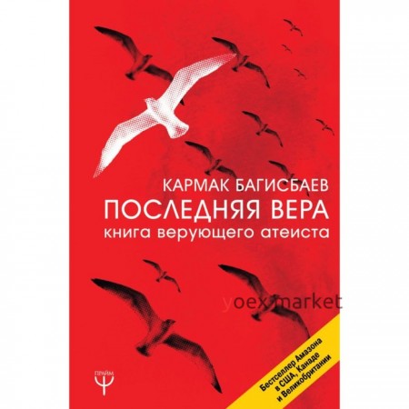 Последняя Вера. Книга верующего атеиста. Багисбаев К.