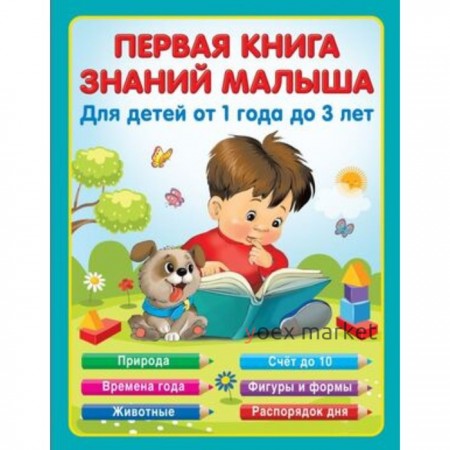 Первая книга знаний малыша для детей от 1 года до 3 лет. Виноградова Н.А.