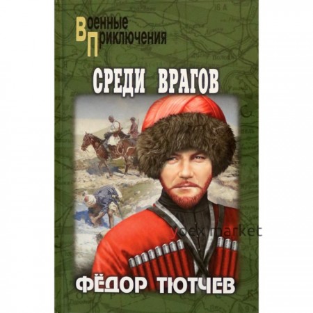 Среди врагов. Тютчев Ф.