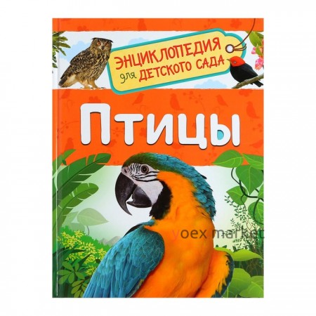 Энциклопедия для детского сада «Птицы», Гальцева С. Н.