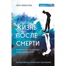 Жизнь после смерти. История о том, что нас ждёт между воплощениями. Некрасова Л.