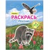 Раскрась Россию. Набор из 2 книг