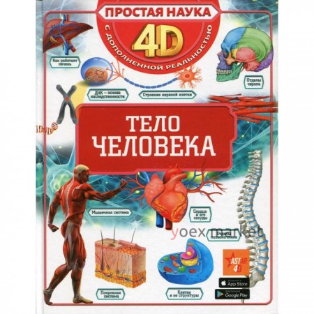 Тело человека, 4D дополнительная реальность