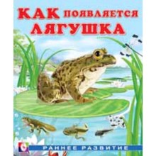 Лягушка. Гурина И.В.