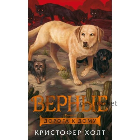 Верные. Книга 4. Дорога к дому. Холт К.