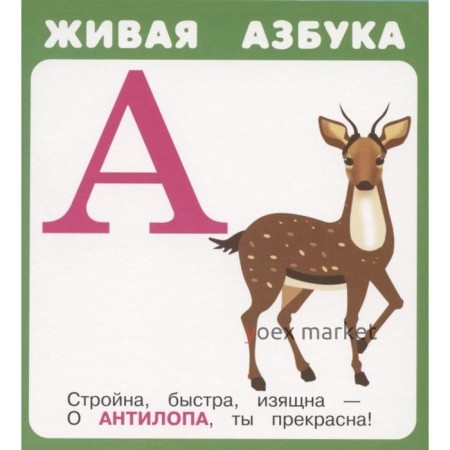 Живая азбука