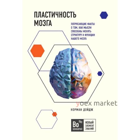 Пластичность мозга. Факты о том, как мысли способны менять структуру и функции нашего мозга