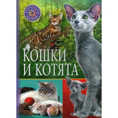 Кошки и котята (Популярная детская энциклопедия)