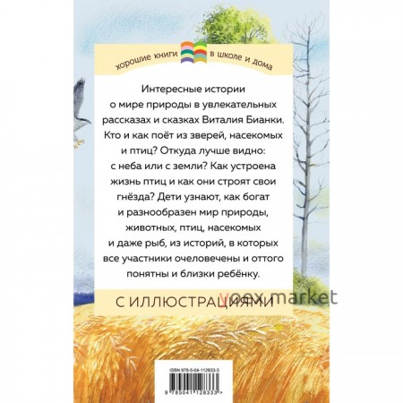 Как Муравьишка домой спешил. Бианки В.В.