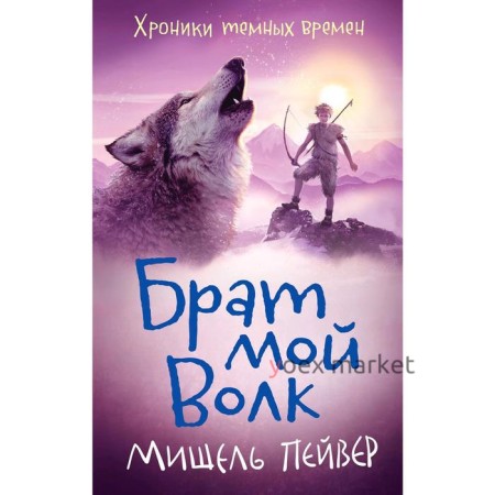 Хроники темных времен. Брат мой Волк. Книга 1. Пейвер М.