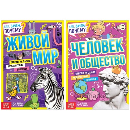 Набор обучающих книг «Как, зачем, почему? Мир, человек и общество», 2 шт.