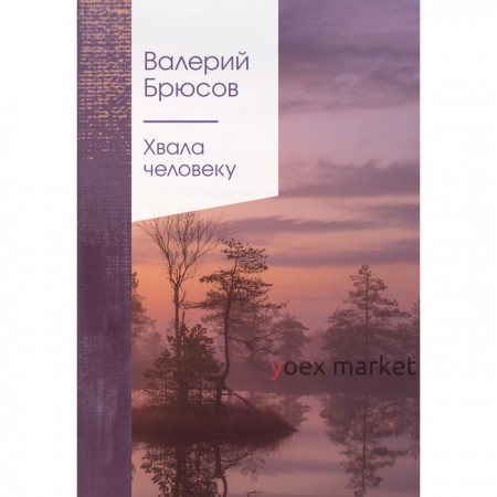 Хвала человеку. Брюсов В.Я.