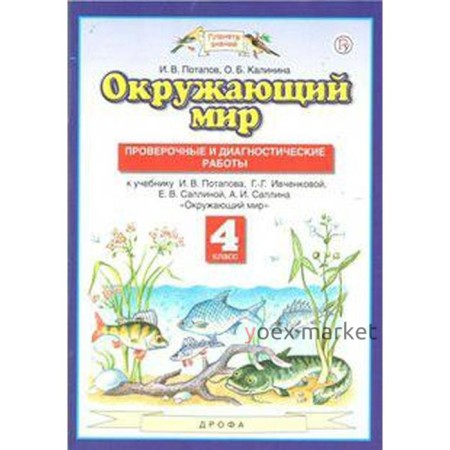 Окружающий мир. 4 класс. Проверочные и диагностические работы к учебнику Г. Г. Ивченковой. Потапов И. В., Калинина О. Б.