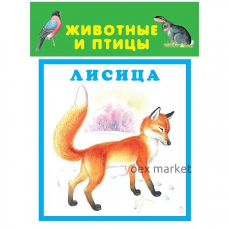 Животные и птицы