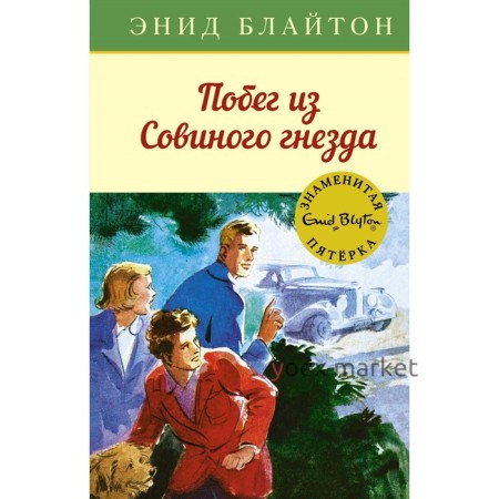 Побег из Совиного гнезда. Книга 8. Блайтон Э.