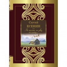 Не жалею, не зову, не плачу... Есенин С.А.