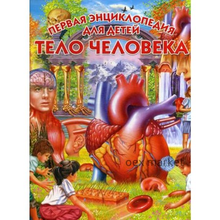 Тело человека. Первая энциклопедия для детей. Под ред. Голотиной Л.Ю.